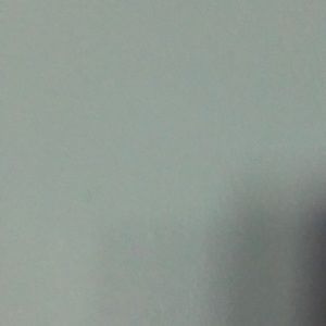 Meet your Posher, Trudy